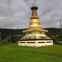 Upper Fagu Tea Garden