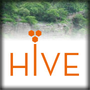 Hive Hotels