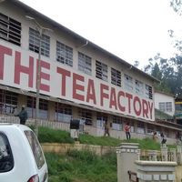 The Tea Factory Ooty