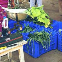 Kodaikanal Farmers' Market And Food Fair