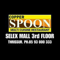 Copper Spoon Multi Cuisine