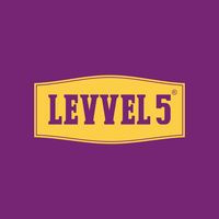 Level 5