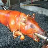 Miniong Cebu Caramelized Lechon