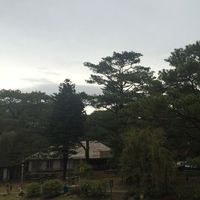 Starbucks, Camp John Hay