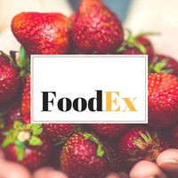 Foodex