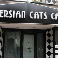 Persian Cats Cafe