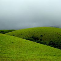 Vagamon Hills