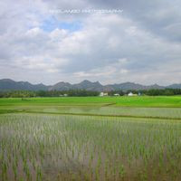 Krishnagiri Dam