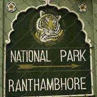 Ranthambore The Glory Of Sawai Madhopur