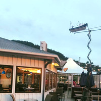 Fisherman 's Wharf Lyttelton 'from The Boat To The Plate '