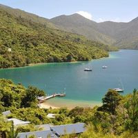 Punga Cove, New Zealand