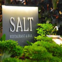 Salt Restaurant Bar