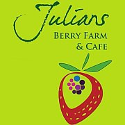 Julians Berry Farm And Cafe (bay Of Plenty)