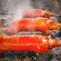 Pesiong, Lechon Haus, Narra Extension, Brgy. Villamonte