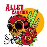 Alley Cantina Dunedin