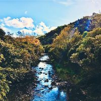 Moores Valley, Wainuiomata