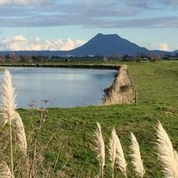 Edgecumbe Pub