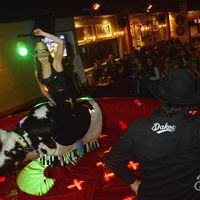 Dakota Mechanical Bull