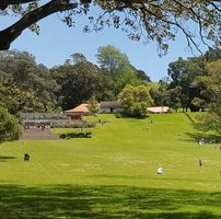 Cornwall Park One Tree Hill