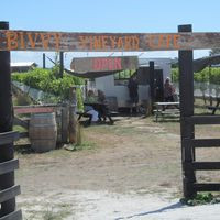 Bivvy Vineyard Cafe