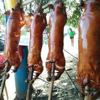 Ajhoy Lechon