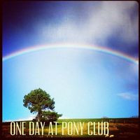 Totara Park Pony Club