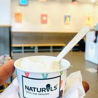 Naturals Icecream Calicut-pottemel