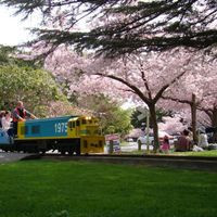 Palmerston North Esplanade