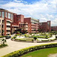 Ccd Amity University Gurgaon